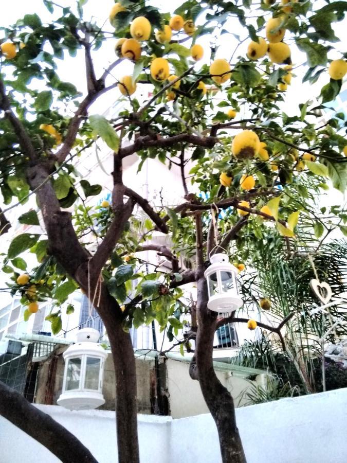 Appartement Willkommen In Einem Private Garden *