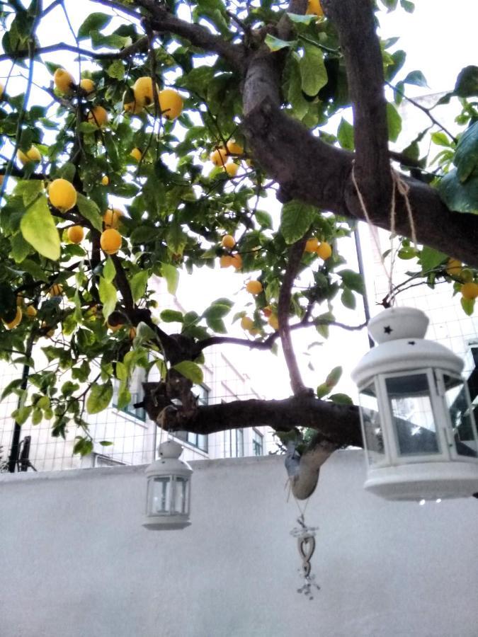 Appartement Willkommen In Einem Private Garden *