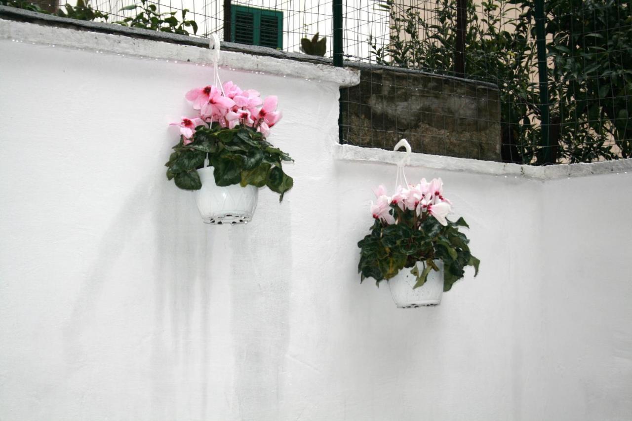 Willkommen In Einem Private Garden Bari